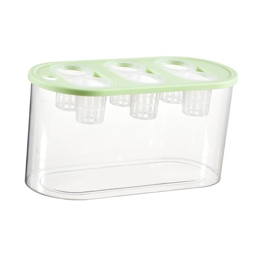 Hydrokultur-Züchterbox mit 6 Löchern, für den Innenbereich, Mini-Aquarium zum Bepflanzen, Kultivieren, Blumenarrangement, Vase, Grün von PawwJoy