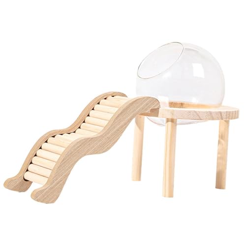 PawwJoy Hamsterhaus aus Glas mit Holzsockel und Leiter, Sandbadbehälter für Meerschweinchen, Hamster, Kleintiere, S PawwJoy Hamsterhaus aus Glas mit Holzsockel und Leiter, Sandbadbehälter für Meerschweinchen, Hamster, Kleintiere, S von PawwJoy