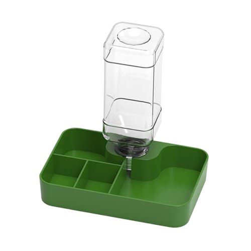 Reptilien-Futterstation Wassernapf Automatischer Wasserspender Futterschale für Bartagamen, Schildkröten, Eidechsen, Frösche, Geckos, Grün, Groß von PawwJoy