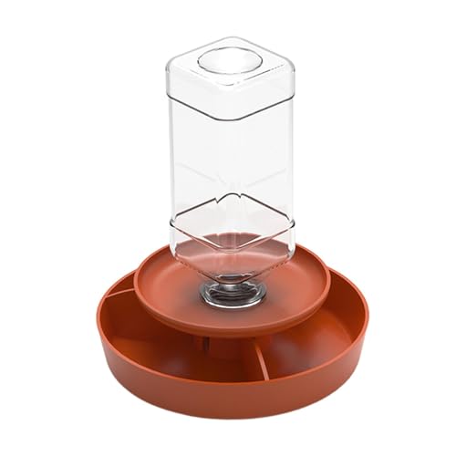 Reptilien-Futterstation für Schildkröten, robust, leicht zu reinigen, Reptilien-Wassernapf, Aquarium-Zubehör für Frosch, Gecko, Chamäleon, Orange, L von PawwJoy