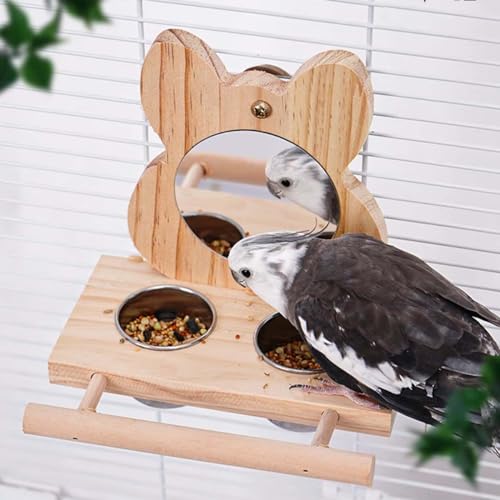 Paxikaka Vogelspiegelständer mit 2 Edelstahl-Futterspendern und Vogelkäfig-Zubehör von Paxikaka