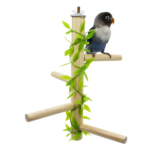 Vertikale Vogelkäfig-Stange von Paxikaka