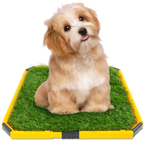 Hundetoilette für drinnen und draußen – Welpen-Urin-Trainingspad mit Kunstrasenmatten, Abfallwanne und abnehmbarer Toilettentrainingsmatte für Terrasse, Rasen, Dekoration, 53 x 53 cm von Pay Extra Tenderness