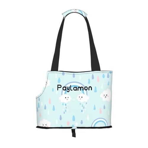 Paylamon Kompatible tragbare Umhängetasche für kleine Katzen und Hunde, zusammenklappbar, Reisetasche, Welpentrage zum Tragen in Flugzeugen, Bussen, U-Bahnen (Regenbogenwolken) von Paylamon