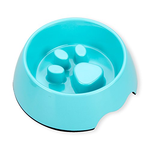 Payxuan Anti-schling Hundenapf Langsame Napf für kleiner Hund und Katze,Blau von Payxuan