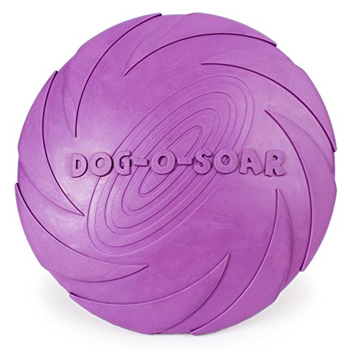 Payxuan Hundefrisbee Gummi,Violett Ø 22cm von Payxuan
