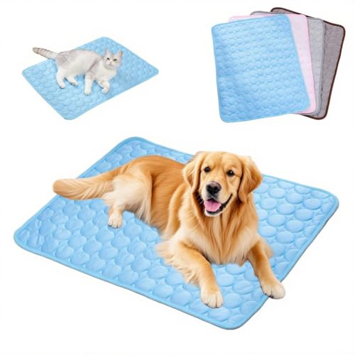 Pazvoza Kühlmatte für Hunde Selbstkühlend – Hundematte wasserdicht & bissfest, atmungsaktiv für Sommer, Auto, Hundebett – Kühldecke für Katzen & Hunde, waschbar (blau, L(70 * 55cm)) von Pazvoza