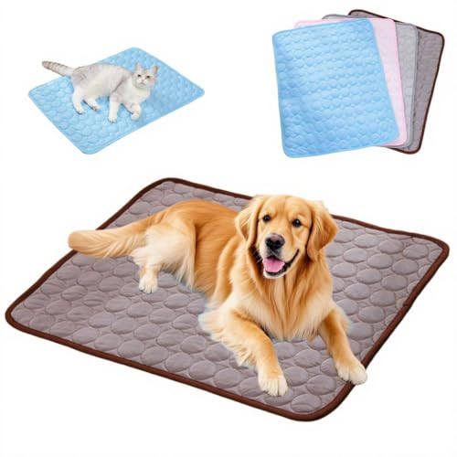 Pazvoza Kühlmatte für Hunde Selbstkühlend – Hundematte wasserdicht & bissfest, atmungsaktiv für Sommer, Auto, Hundebett – Kühldecke für Katzen & Hunde, waschbar (braun, XS(40 * 30cm)) von Pazvoza