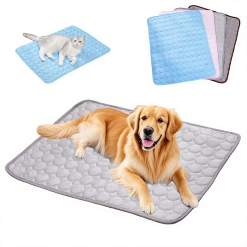 Pazvoza Kühlmatte für Hunde Selbstkühlend – Hundematte wasserdicht & bissfest, atmungsaktiv für Sommer, Auto, Hundebett – Kühldecke für Katzen & Hunde, waschbar (grau, XS(40 * 30cm)) von Pazvoza