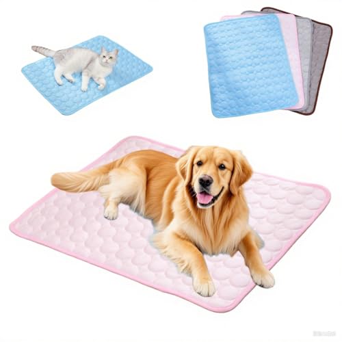 Pazvoza Kühlmatte für Hunde Selbstkühlend – Hundematte wasserdicht & bissfest, atmungsaktiv für Sommer, Auto, Hundebett – Kühldecke für Katzen & Hunde, waschbar (rosa, M(62 * 50cm)) von Pazvoza