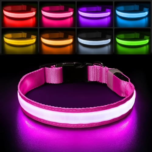 Leuchthalsband Hund Aufladbar USB-C, LED Halsband für Hunde Wasserdicht Hundehalsband Leuchtend 7 Farben Blinklicht Einstellbar Leichte Halsband Hunde für Kleine Mittlere Große Hunde, Rosa M von PcEoTllar