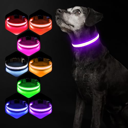 Hundehalsband Leuchtend USB Aufladbar - Leuchthalsband Hund 7 RGB Farbwechsel mit 8 Leuchtmodi, Dickes Verstellbares LED Hundehalsband Wasserdicht für Kleine Mittlere Große Hunde Leuchtendes Halsband Hundehalsband Leuchtend USB Aufladbar - Leuchthalsband Hund 7 RGB Farbwechsel mit 8 Leuchtmodi, Dickes Verstellbares LED Hundehalsband Wasserdicht für Kleine Mittlere Große Hunde Leuchtendes Halsband von PcEoTllar