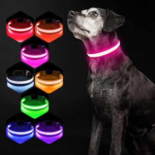 Hundehalsband Leuchtend USB Aufladbar - Leuchthalsband Hund 7 RGB Farbwechsel mit 8 Leuchtmodi, Dickes Verstellbares LED Hundehalsband Wasserdicht für Kleine Mittlere Große Hunde Leuchtendes Halsband Hundehalsband Leuchtend USB Aufladbar - Leuchthalsband Hund 7 RGB Farbwechsel mit 8 Leuchtmodi, Dickes Verstellbares LED Hundehalsband Wasserdicht für Kleine Mittlere Große Hunde Leuchtendes Halsband von PcEoTllar