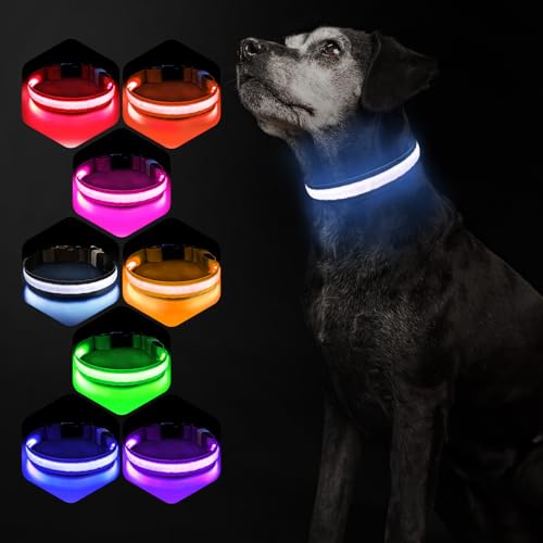 Hundehalsband Leuchtend USB Aufladbar - Leuchthalsband Hund 7 RGB Farbwechsel mit 8 Leuchtmodi, Dickes Verstellbares LED Hundehalsband Wasserdicht für Kleine Mittlere Große Hunde Leuchtendes Halsband Hundehalsband Leuchtend USB Aufladbar - Leuchthalsband Hund 7 RGB Farbwechsel mit 8 Leuchtmodi, Dickes Verstellbares LED Hundehalsband Wasserdicht für Kleine Mittlere Große Hunde Leuchtendes Halsband von PcEoTllar