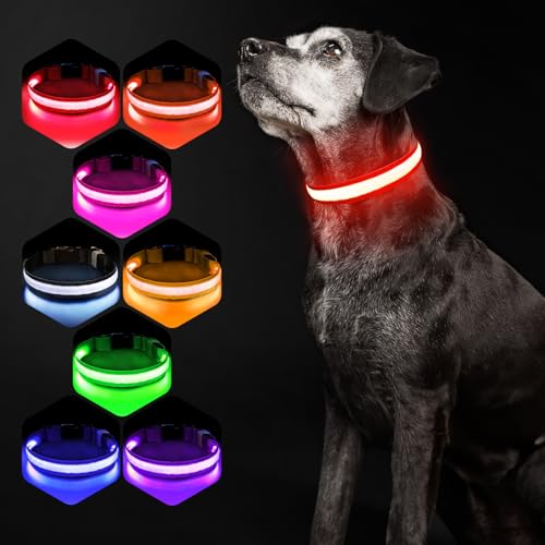 Hundehalsband Leuchtend USB Aufladbar - Leuchthalsband Hund 7 RGB Farbwechsel mit 8 Leuchtmodi, Dickes Verstellbares LED Hundehalsband Wasserdicht für Kleine Mittlere Große Hunde Leuchtendes Halsband Hundehalsband Leuchtend USB Aufladbar - Leuchthalsband Hund 7 RGB Farbwechsel mit 8 Leuchtmodi, Dickes Verstellbares LED Hundehalsband Wasserdicht für Kleine Mittlere Große Hunde Leuchtendes Halsband von PcEoTllar