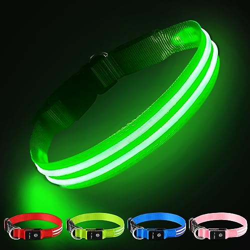 Hundehalsband Leuchtend Aufladbar, Leuchthalsband Hund Wasserdichtes Einstellbare Blinklicht LED Halsband Hund für Kleine Mittlere Große Hunde, Sichtbarkeit im Dunkeln, Grün - M von PcEoTllar