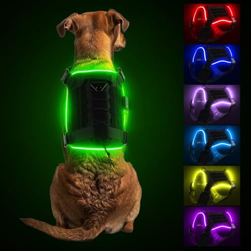 PcEoTllar Hundegeschirr Leuchtend Aufladbar, Leuchtgeschirr für Hunde mit 7 Farben 8 Modi, Einstellbar Beleuchtetes Leuchtgeschirr mit Tragegriff für Klein Mittlere Grosse Hunde, Schwarz-XL PcEoTllar Hundegeschirr Leuchtend Aufladbar, Leuchtgeschirr für Hunde mit 7 Farben 8 Modi, Einstellbar Beleuchtetes Leuchtgeschirr mit Tragegriff für Klein Mittlere Grosse Hunde, Schwarz-XL von PcEoTllar