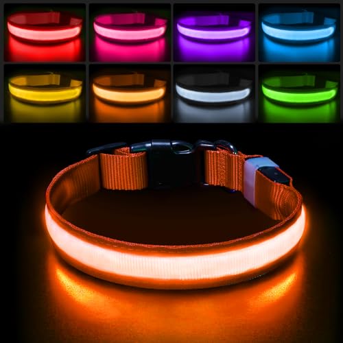 Leuchthalsband Hund Aufladbar USB-C, LED Halsband für Hunde Wasserdicht Hundehalsband Leuchtend 7 Farben Blinklicht Einstellbar Leichte Halsband Hunde für Kleine Mittlere Große Hunde, Orange L von PcEoTllar