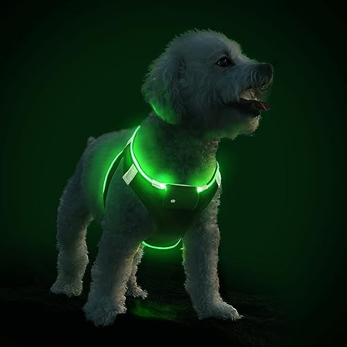 PcEoTllar Hundegeschirr Leuchtend, Leuchtgeschirr LED Aufladbar & Reflektierendes, Beleuchtetes Leuchtgeschirr für Welpe Klein Mittlere Hund, Atmungsaktiv Leucht Geschirr, Schwarz Grün-S von PcEoTllar