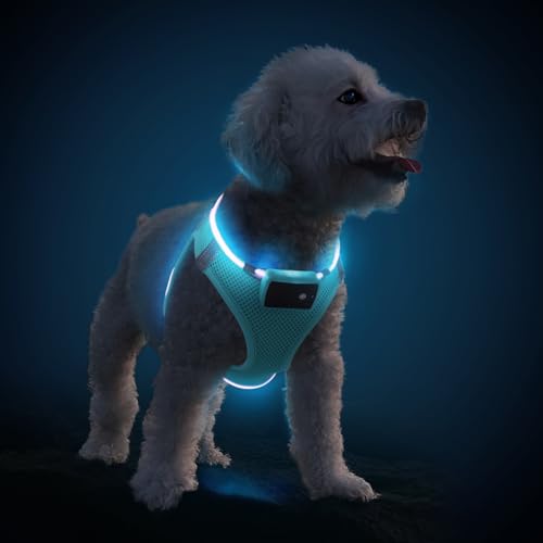 PcEoTllar Hundegeschirr Leuchtend USB Aufladbar Reflektierendes Leuchtgeschirr LED Leucht Brustgeschirr für Welpe Klein Mittelgroße Hund, Blinken Atmungsaktiv und Leichtgewicht, Blau-L von PcEoTllar