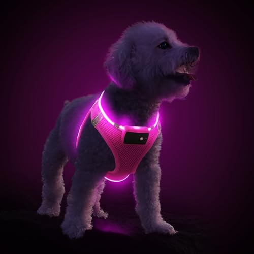 PcEoTllar Hundegeschirr Leuchtend, Leuchtgeschirr LED Aufladbar & Reflektierendes, Beleuchtetes Leuchtgeschirr für Welpe Klein Mittlere Hund, Atmungsaktiv Leucht Geschirr, Rosa-L von PcEoTllar