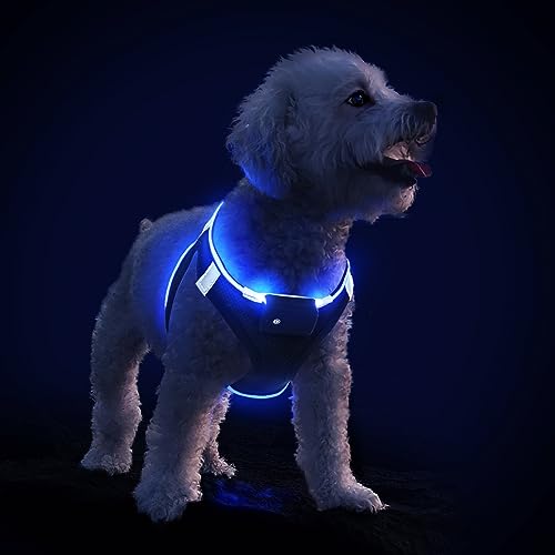 PcEoTllar Hundegeschirr Leuchtend USB Aufladbar Reflektierendes Leuchtgeschirr LED Leucht Brustgeschirr für Welpe Klein Mittelgroße Hund, Blinken Atmungsaktiv und Leichtgewicht, Schwarz Blau-L von PcEoTllar