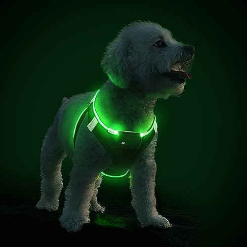 PcEoTllar Hundegeschirr Leuchtend USB Aufladbar Reflektierendes Leuchtgeschirr LED Leucht Brustgeschirr für Welpe Klein Mittelgroße Hund, Blinken Atmungsaktiv und Leichtgewicht, Schwarz Grün-M von PcEoTllar