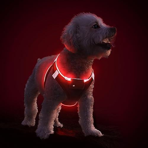 PcEoTllar Hundegeschirr Leuchtend USB Aufladbar Reflektierendes Leuchtgeschirr LED Leucht Brustgeschirr für Welpe Klein Mittelgroße Hund, Blinken Atmungsaktiv und Leichtgewicht, Schwarz Rot-L von PcEoTllar