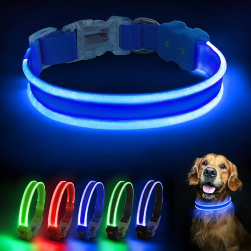 PcEoTllar Hundehalsband Leuchtend, Leuchthalsband Hund Aufladbar LED Halsband für Kleine Mittlere Große Hunde mit 3 Blinkmodi Sicherheit Wasserdichtes Einstellbare, Blau-L von PcEoTllar