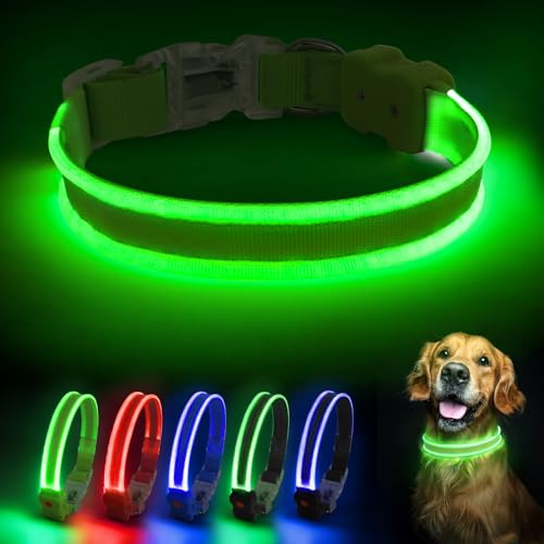 PcEoTllar Hundehalsband Leuchtend, Leuchthalsband Hund Aufladbar LED Halsband für Kleine Mittlere Große Hunde mit 3 Blinkmodi Sicherheit Wasserdichtes Einstellbare, Grün-L von PcEoTllar
