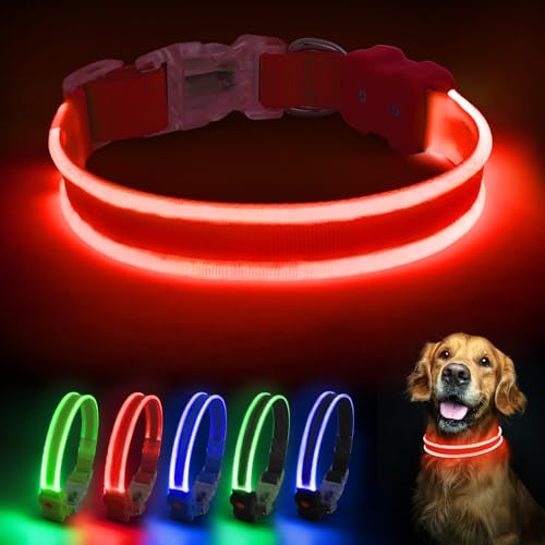 PcEoTllar Hundehalsband Leuchtend, Leuchthalsband Hund Aufladbar LED Halsband für Kleine Mittlere Große Hunde mit 3 Blinkmodi Sicherheit Wasserdichtes Einstellbare, Rot-M von PcEoTllar