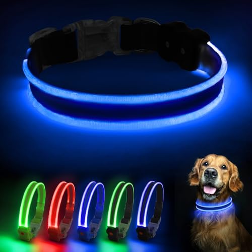 PcEoTllar Hundehalsband Leuchtend, Leuchthalsband Hund Aufladbar LED Halsband für Kleine Mittlere Große Hunde mit 3 Blinkmodi Sicherheit Wasserdichtes Einstellbare, Schwarz-M von PcEoTllar