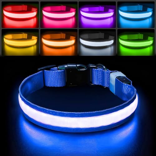 PcEoTllar Leuchthalsband Hund, Leuchtendes Hundehalsband Aufladbar 7 Farben mit 9 Leuchtmodi, LED Halsband für Hunde Wasserdicht, Leuchthalsband für Kleine Mittlere Große Hunde, Blau-M PcEoTllar Leuchthalsband Hund, Leuchtendes Hundehalsband Aufladbar 7 Farben mit 9 Leuchtmodi, LED Halsband für Hunde Wasserdicht, Leuchthalsband für Kleine Mittlere Große Hunde, Blau-M von PcEoTllar
