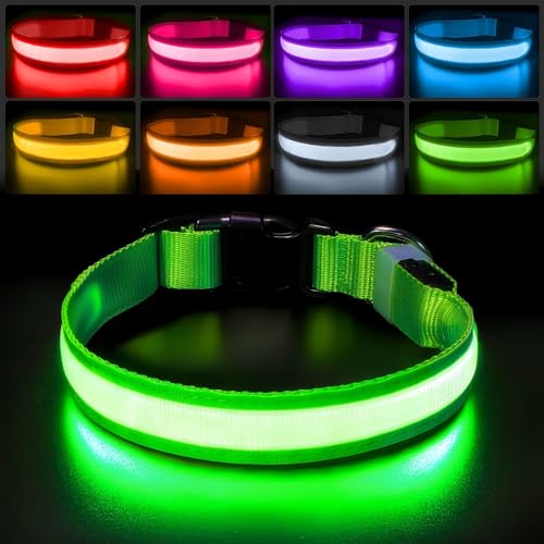 PcEoTllar Leuchthalsband Hund, Leuchtendes Hundehalsband Aufladbar 7 Farben mit 9 Leuchtmodi, LED Halsband für Hunde Wasserdicht, Leuchthalsband für Kleine Mittlere Große Hunde, Grün-M PcEoTllar Leuchthalsband Hund, Leuchtendes Hundehalsband Aufladbar 7 Farben mit 9 Leuchtmodi, LED Halsband für Hunde Wasserdicht, Leuchthalsband für Kleine Mittlere Große Hunde, Grün-M von PcEoTllar