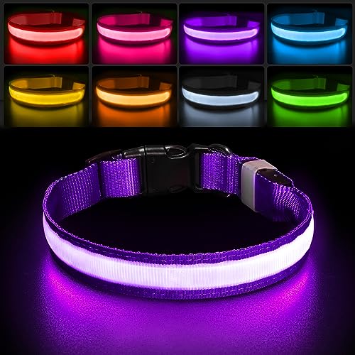 PcEoTllar Leuchthalsband Hund, Leuchtendes Hundehalsband Aufladbar 7 Farben mit 9 Leuchtmodi, LED Halsband für Hunde Wasserdicht, Leuchthalsband für Kleine Mittlere Große Hunde, Lila-M PcEoTllar Leuchthalsband Hund, Leuchtendes Hundehalsband Aufladbar 7 Farben mit 9 Leuchtmodi, LED Halsband für Hunde Wasserdicht, Leuchthalsband für Kleine Mittlere Große Hunde, Lila-M von PcEoTllar