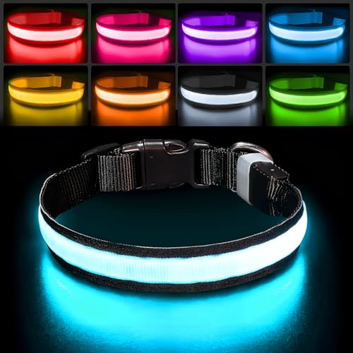 PcEoTllar Leuchthalsband Hund, Leuchtendes Hundehalsband Aufladbar 7 Farben mit 9 Leuchtmodi, LED Halsband für Hunde Wasserdicht, Leuchthalsband für Kleine Mittlere Große Hunde, Schwarz-M PcEoTllar Leuchthalsband Hund, Leuchtendes Hundehalsband Aufladbar 7 Farben mit 9 Leuchtmodi, LED Halsband für Hunde Wasserdicht, Leuchthalsband für Kleine Mittlere Große Hunde, Schwarz-M von PcEoTllar