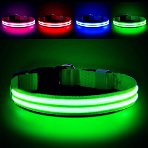PcEoTllar Leuchthalsband Hund Aufladbar, Hundehalsband Leuchtend, Beleuchtetes LED Halsband für Hunde für Kleine Mittlere Große Hunde, Hunde Leuchthalsband Wasserdicht 3 Leuchtmodi, Grün-L PcEoTllar Leuchthalsband Hund Aufladbar, Hundehalsband Leuchtend, Beleuchtetes LED Halsband für Hunde für Kleine Mittlere Große Hunde, Hunde Leuchthalsband Wasserdicht 3 Leuchtmodi, Grün-L von PcEoTllar
