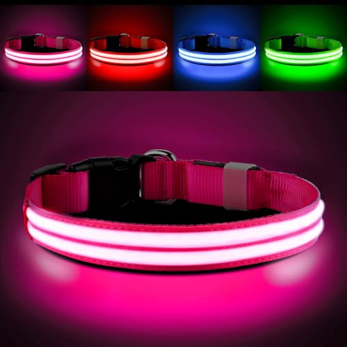 PcEoTllar Leuchthalsband Hund Aufladbar, Hundehalsband Leuchtend, Beleuchtetes LED Halsband für Hunde für Kleine Mittlere Große Hunde, Hunde Leuchthalsband Wasserdicht 3 Leuchtmodi, Rosa-M PcEoTllar Leuchthalsband Hund Aufladbar, Hundehalsband Leuchtend, Beleuchtetes LED Halsband für Hunde für Kleine Mittlere Große Hunde, Hunde Leuchthalsband Wasserdicht 3 Leuchtmodi, Rosa-M von PcEoTllar