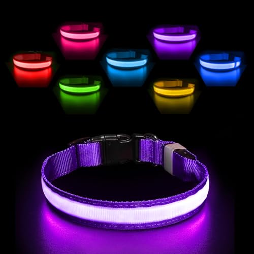 PcEoTllar Leuchthalsband Hund Aufladbar, Hundehalsband Leuchtend Wasserdicht, Blinkend LED Halsband für Hunde mit 7 Farben, Einstellbare LED Hundehalsband für Kleine Große Hunde, Lila-S PcEoTllar Leuchthalsband Hund Aufladbar, Hundehalsband Leuchtend Wasserdicht, Blinkend LED Halsband für Hunde mit 7 Farben, Einstellbare LED Hundehalsband für Kleine Große Hunde, Lila-S von PcEoTllar