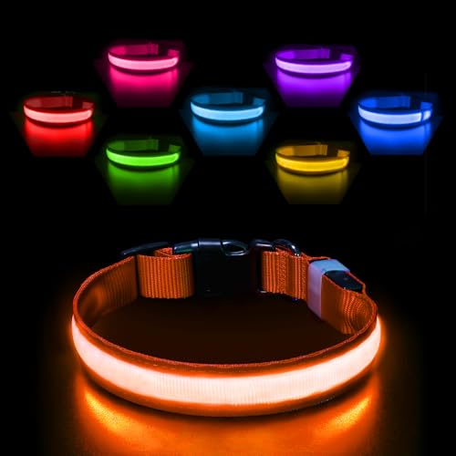 PcEoTllar Leuchthalsband Hund Aufladbar, Hundehalsband Leuchtend Wasserdicht, Blinkend LED Halsband für Hunde mit 7 Farben, Einstellbare LED Hundehalsband für Kleine Große Hunde, Orange-M PcEoTllar Leuchthalsband Hund Aufladbar, Hundehalsband Leuchtend Wasserdicht, Blinkend LED Halsband für Hunde mit 7 Farben, Einstellbare LED Hundehalsband für Kleine Große Hunde, Orange-M von PcEoTllar