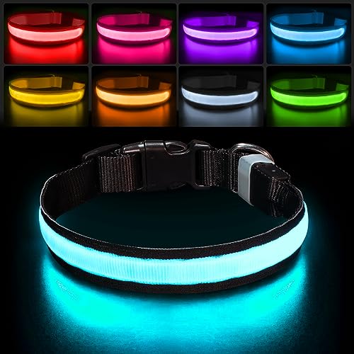 PcEoTllar Leuchthalsband Hund Aufladbar, Hundehalsband Leuchtend Wasserdicht, Blinkend LED Halsband für Hunde mit 7 Farben, Einstellbare LED Hundehalsband für Kleine Große Hunde, Schwarz-M PcEoTllar Leuchthalsband Hund Aufladbar, Hundehalsband Leuchtend Wasserdicht, Blinkend LED Halsband für Hunde mit 7 Farben, Einstellbare LED Hundehalsband für Kleine Große Hunde, Schwarz-M von PcEoTllar