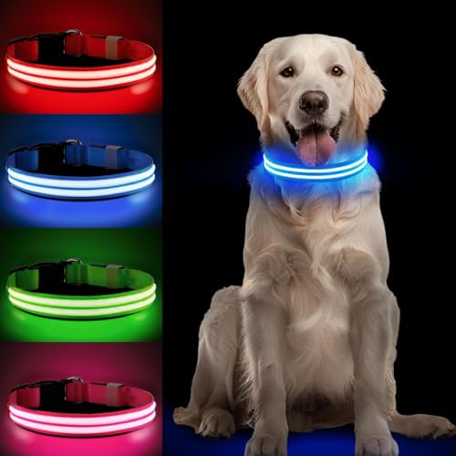 PcEoTllar Leuchthalsband Hund Aufladbar, LED Hundehalsband Leuchtend mit 3 Leuchtmodi, Leuchtendes Hundehalsband Verstellbares Wasserdicht für Kleine Mittlere Große Hunde, Blau-L PcEoTllar Leuchthalsband Hund Aufladbar, LED Hundehalsband Leuchtend mit 3 Leuchtmodi, Leuchtendes Hundehalsband Verstellbares Wasserdicht für Kleine Mittlere Große Hunde, Blau-L von PcEoTllar