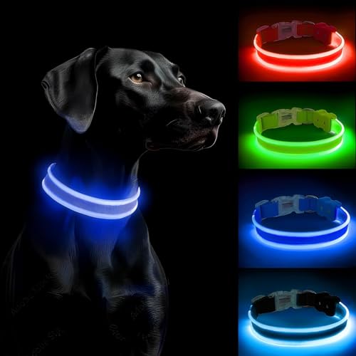PcEoTllar Leuchthalsband Hund Aufladbar, LED Hundehalsband Leuchtend mit 3 Leuchtmodi, Leuchtendes Hundehalsband Verstellbares Wasserdicht für Kleine Mittlere Große Hunde, Blau-M PcEoTllar Leuchthalsband Hund Aufladbar, LED Hundehalsband Leuchtend mit 3 Leuchtmodi, Leuchtendes Hundehalsband Verstellbares Wasserdicht für Kleine Mittlere Große Hunde, Blau-M von PcEoTllar