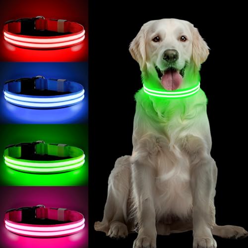 PcEoTllar Leuchthalsband Hund Aufladbar, LED Hundehalsband Leuchtend mit 3 Leuchtmodi, Leuchtendes Hundehalsband Verstellbares Wasserdicht für Kleine Mittlere Große Hunde, Grün-M PcEoTllar Leuchthalsband Hund Aufladbar, LED Hundehalsband Leuchtend mit 3 Leuchtmodi, Leuchtendes Hundehalsband Verstellbares Wasserdicht für Kleine Mittlere Große Hunde, Grün-M von PcEoTllar