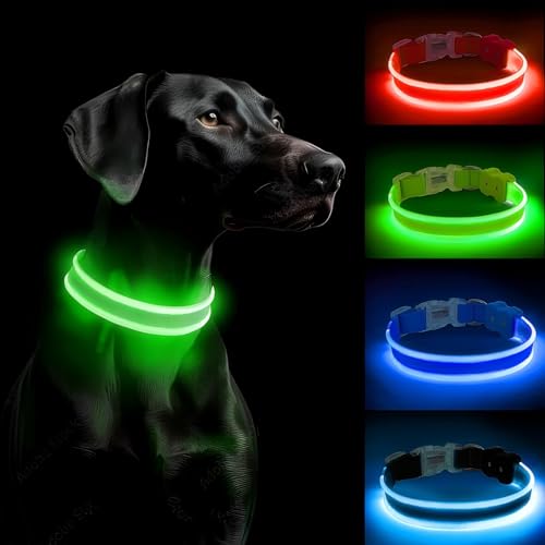 PcEoTllar Leuchthalsband Hund Aufladbar, LED Hundehalsband Leuchtend mit 3 Leuchtmodi, Leuchtendes Hundehalsband Verstellbares Wasserdicht für Kleine Mittlere Große Hunde, Grün-S PcEoTllar Leuchthalsband Hund Aufladbar, LED Hundehalsband Leuchtend mit 3 Leuchtmodi, Leuchtendes Hundehalsband Verstellbares Wasserdicht für Kleine Mittlere Große Hunde, Grün-S von PcEoTllar