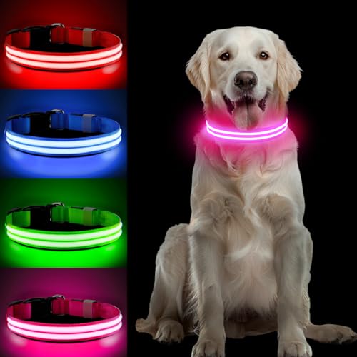 PcEoTllar Leuchthalsband Hund Aufladbar, LED Hundehalsband Leuchtend mit 3 Leuchtmodi, Leuchtendes Hundehalsband Verstellbares Wasserdicht für Kleine Mittlere Große Hunde, Rosa-S PcEoTllar Leuchthalsband Hund Aufladbar, LED Hundehalsband Leuchtend mit 3 Leuchtmodi, Leuchtendes Hundehalsband Verstellbares Wasserdicht für Kleine Mittlere Große Hunde, Rosa-S von PcEoTllar