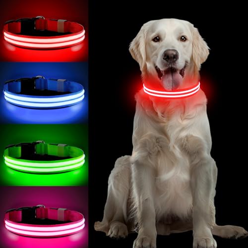 PcEoTllar Leuchthalsband Hund Aufladbar, LED Hundehalsband Leuchtend mit 3 Leuchtmodi, Leuchtendes Hundehalsband Verstellbares Wasserdicht für Kleine Mittlere Große Hunde, Rot-M PcEoTllar Leuchthalsband Hund Aufladbar, LED Hundehalsband Leuchtend mit 3 Leuchtmodi, Leuchtendes Hundehalsband Verstellbares Wasserdicht für Kleine Mittlere Große Hunde, Rot-M von PcEoTllar