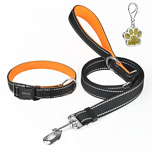 Hundehalsband Gepolstert Reflektierendes Halsband Hunde Einstellbar Neopren Nylon Hundehalsbänder für kleine mittlere große Hunde, Orange, S (30-40cm) von PcEoTllar
