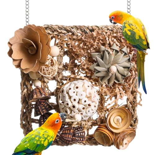 Pcivzxam Vogelspielzeug, Sittichspielzeug, Futtersuchspielzeug für Vögel, Grasmatte, Kletterwand für Sittiche, Papageien, Nymphensittiche, Conures, Unzertrennliche Pcivzxam Vogelspielzeug, Sittichspielzeug, Futtersuchspielzeug für Vögel, Grasmatte, Kletterwand für Sittiche, Papageien, Nymphensittiche, Conures, Unzertrennliche von Pcivzxam