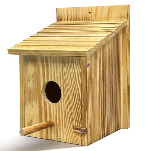 Vogelhaus für Gartenbox UK mit abnehmbarer Sitzstange zum Aufhängen an der Außenseite aus Holz, offene Vorderseite, Nistkästen Spatzen, Rotkehlchen, freistehend zum Beobachten (Holz-A, Einheitsgröße A Vogelhaus für Gartenbox UK mit abnehmbarer Sitzstange zum Aufhängen an der Außenseite aus Holz, offene Vorderseite, Nistkästen Spatzen, Rotkehlchen, freistehend zum Beobachten (Holz-A, Einheitsgröße A von Pcuntslo